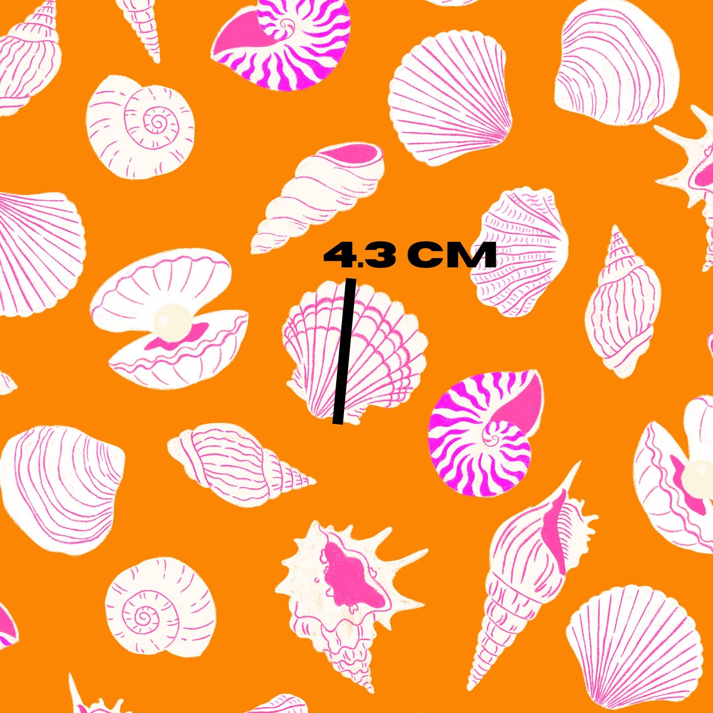 Assorted seashells design