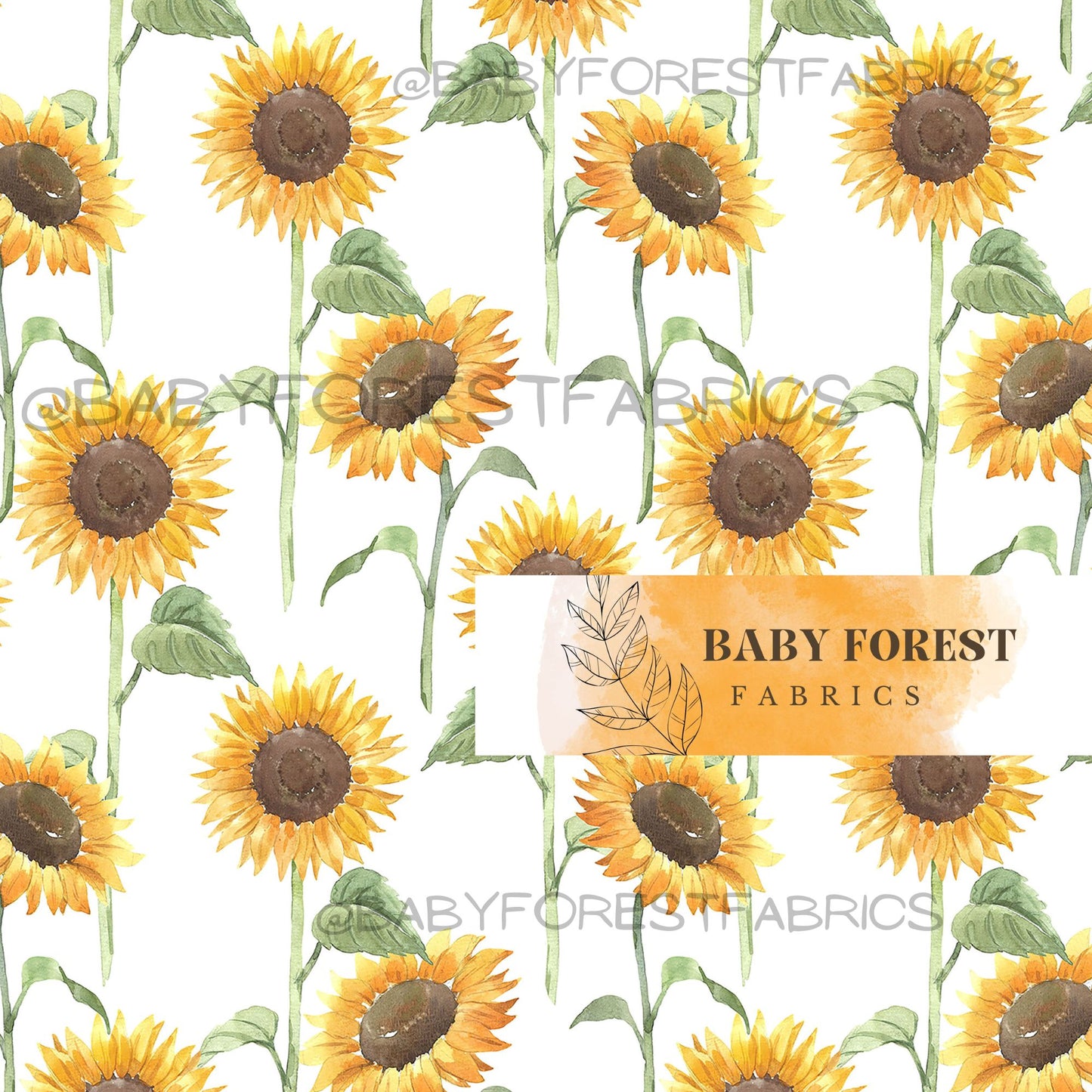 Tall Sunflowers