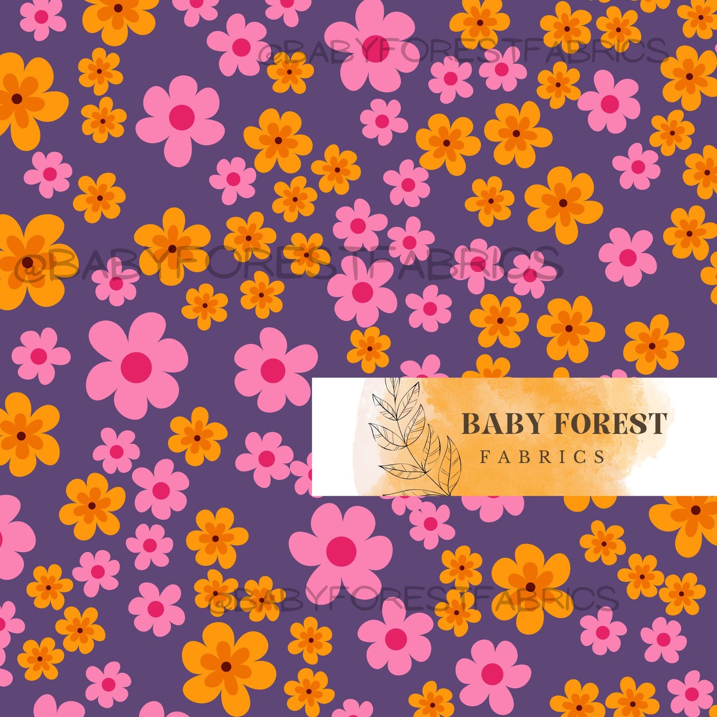 Purple orange daisy