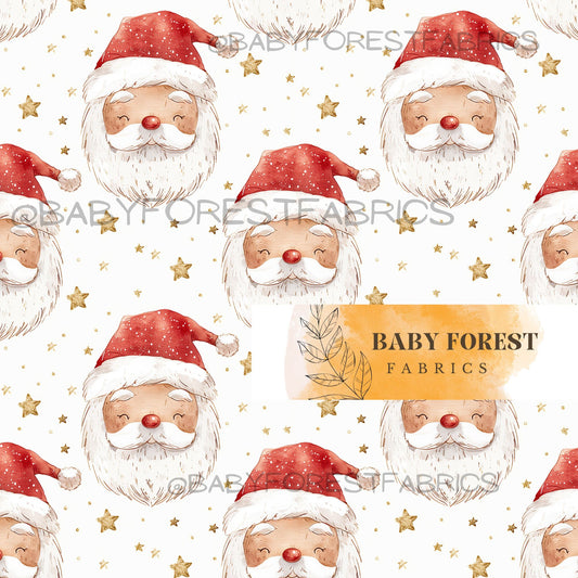 Santa stars