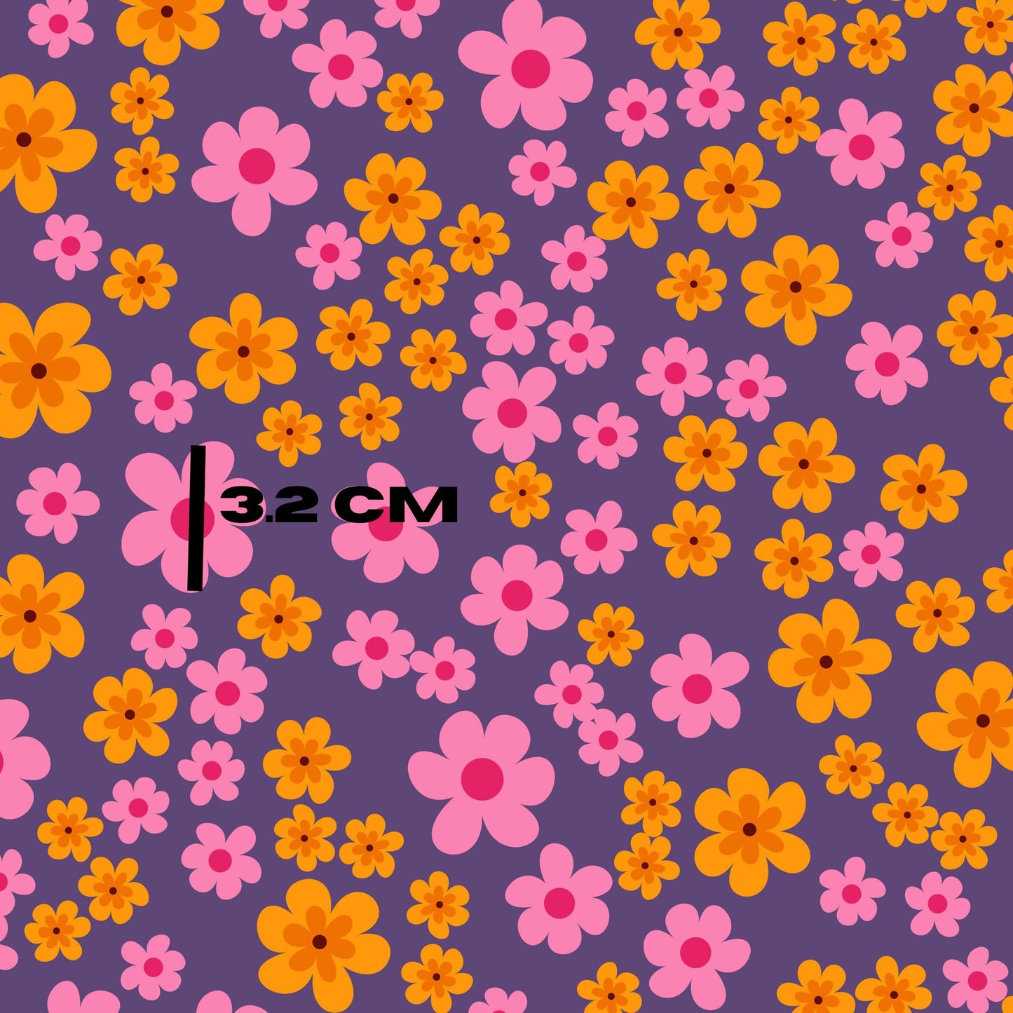 Purple orange daisy