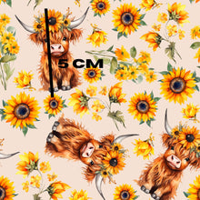 Load image into Gallery viewer, Sunflower Highland

