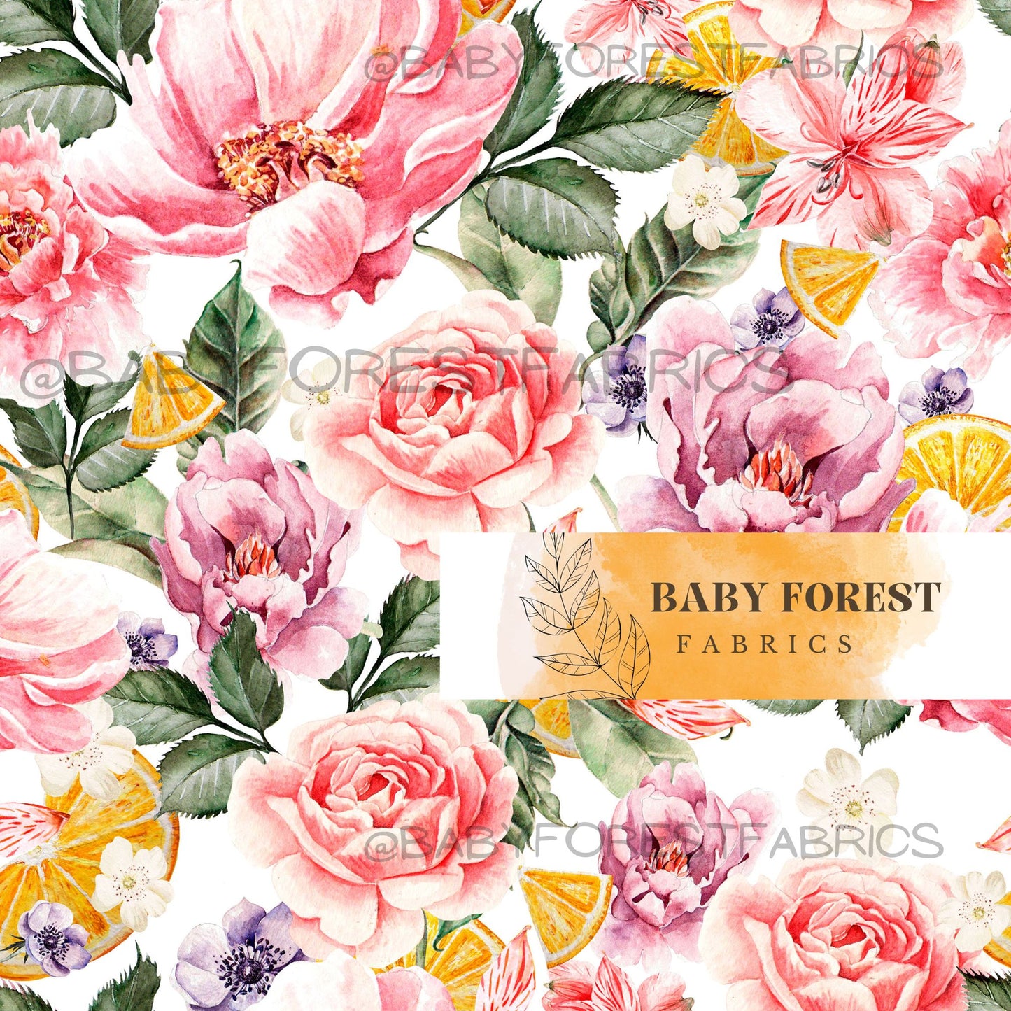 Citrus Rose