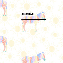 Load image into Gallery viewer, Rainbow Zebras and Faded Suns
