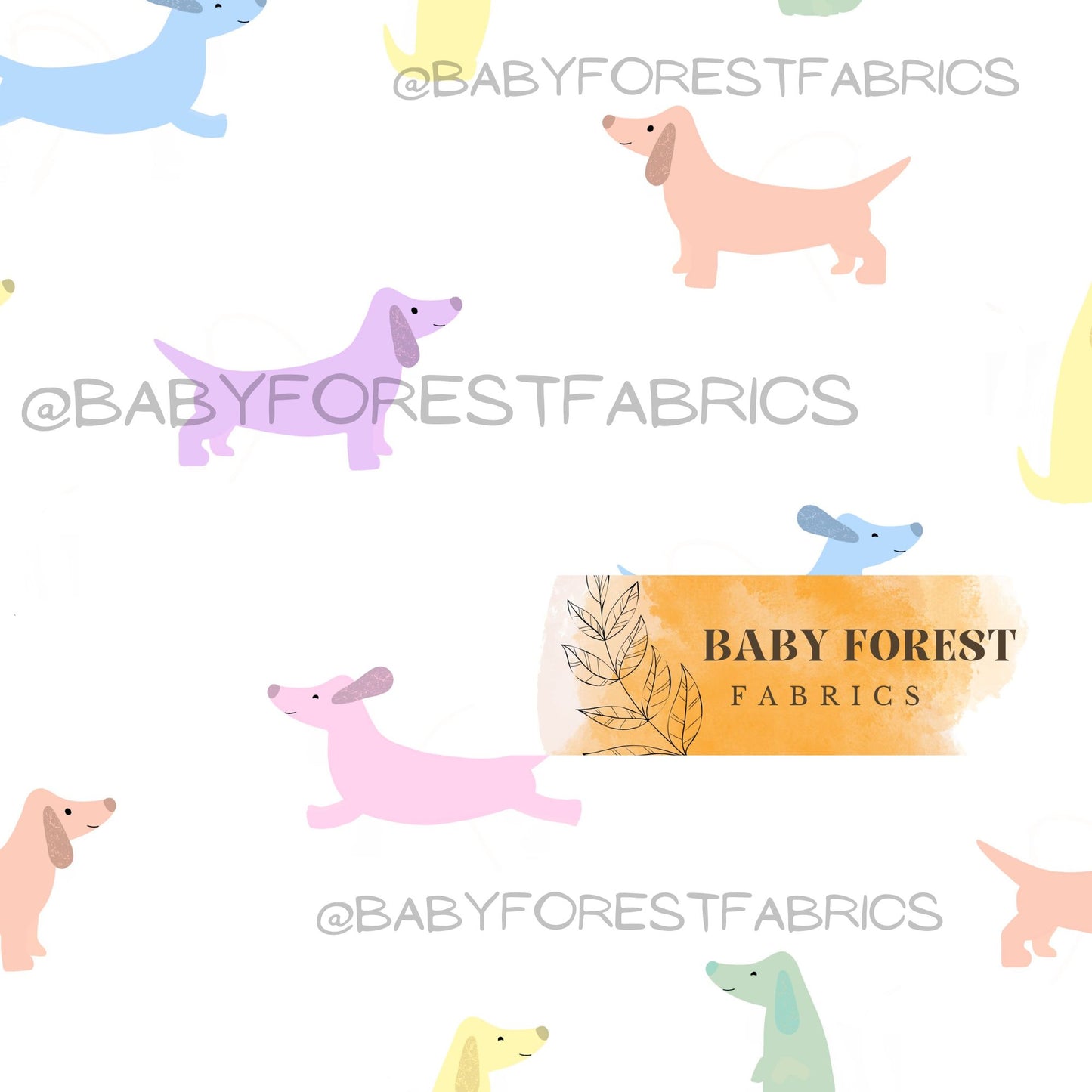 Cute Pastel Dachshund Dogs Hannah