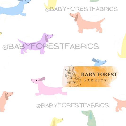 Cute Pastel Dachshund Dogs Hannah