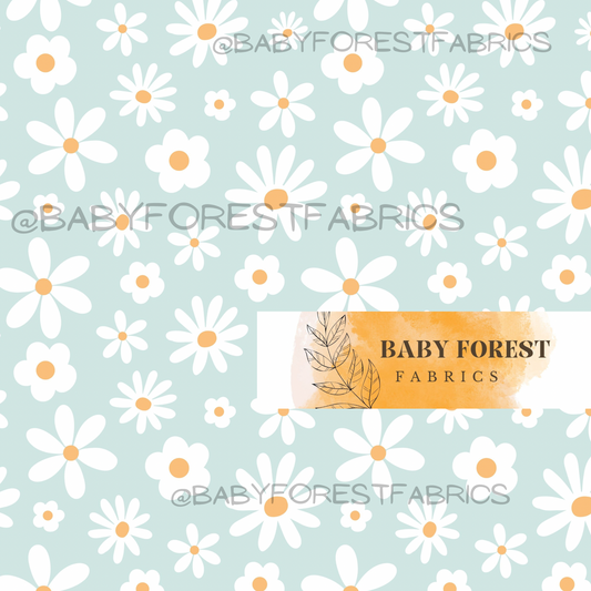 Daisy dream blue