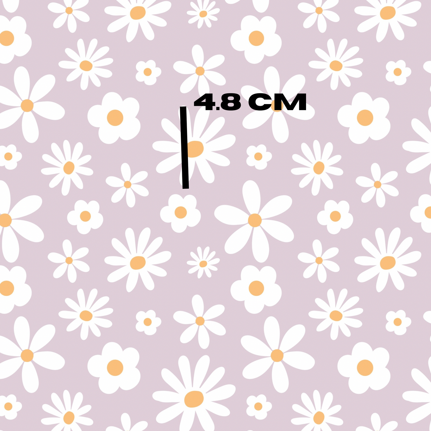 Daisy dream lilac