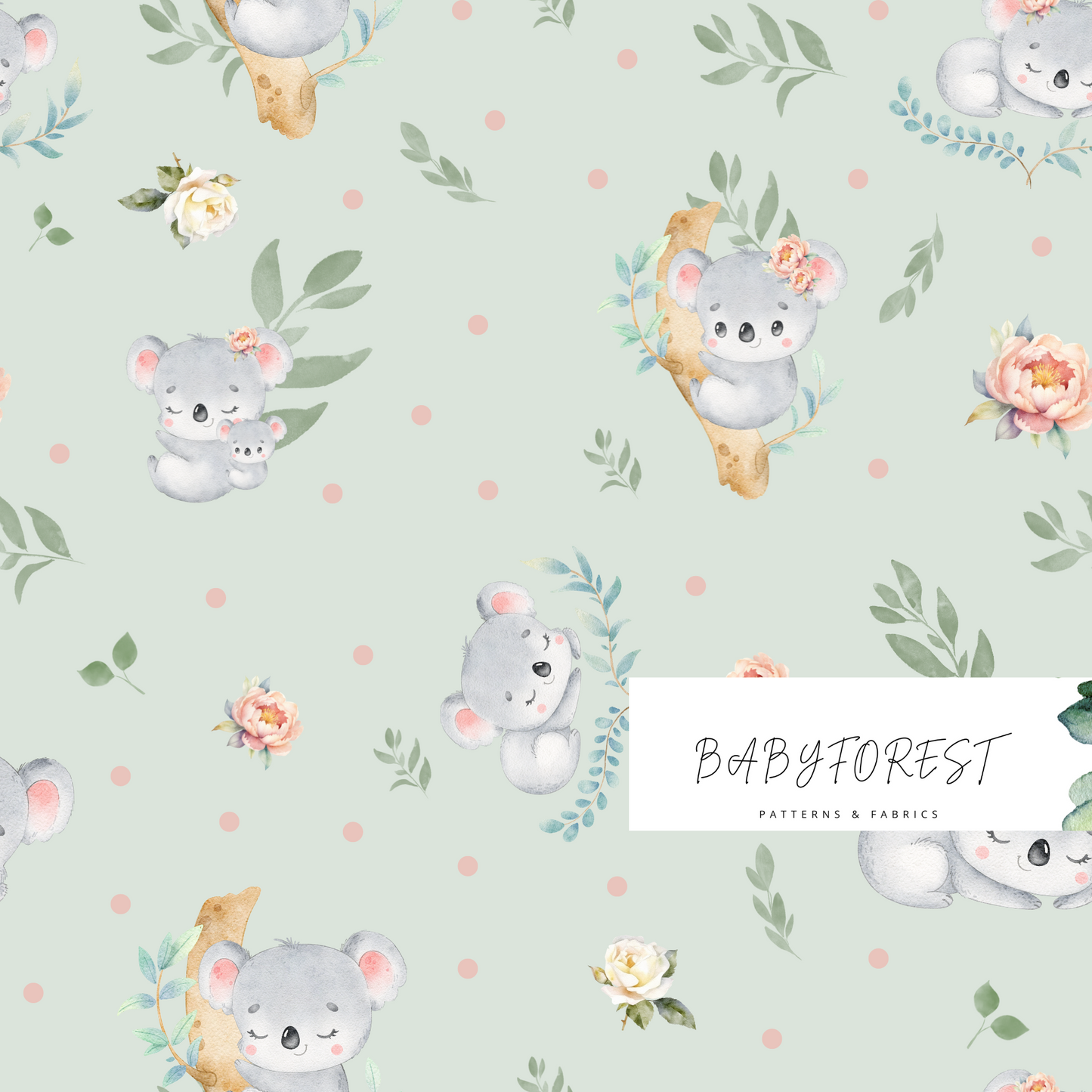 Baby Koala on sage