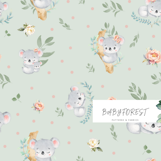 Baby Koala on sage