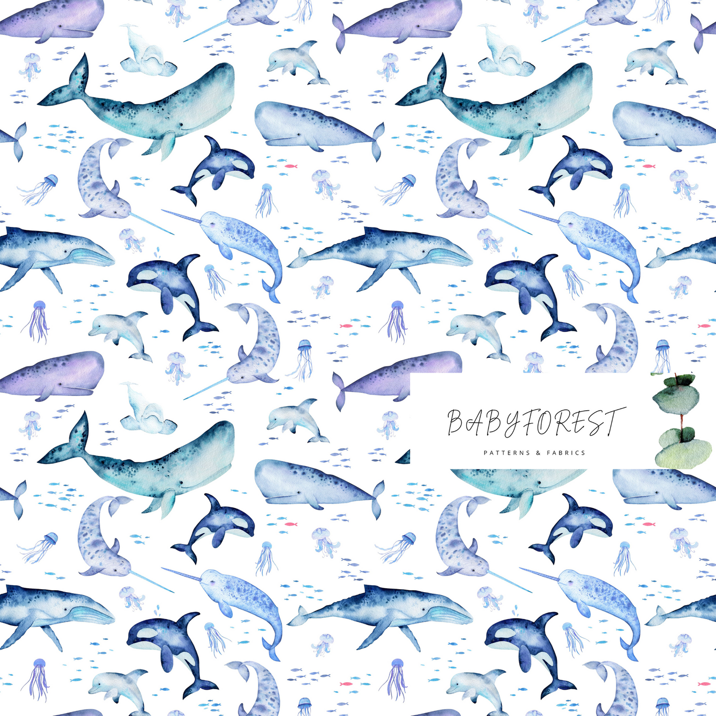 Whale