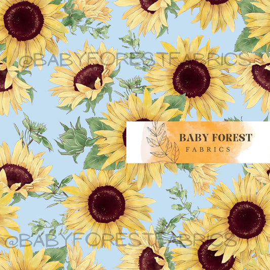 Sunflowers on blue