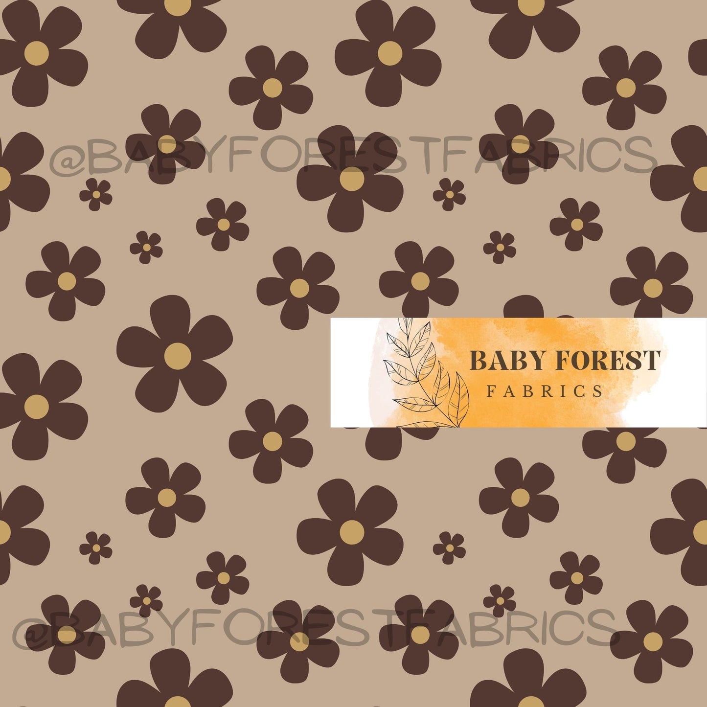 Brown daisy