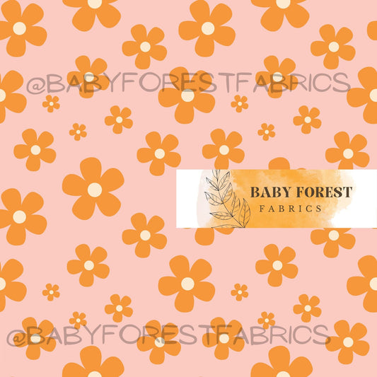 Orange daisy