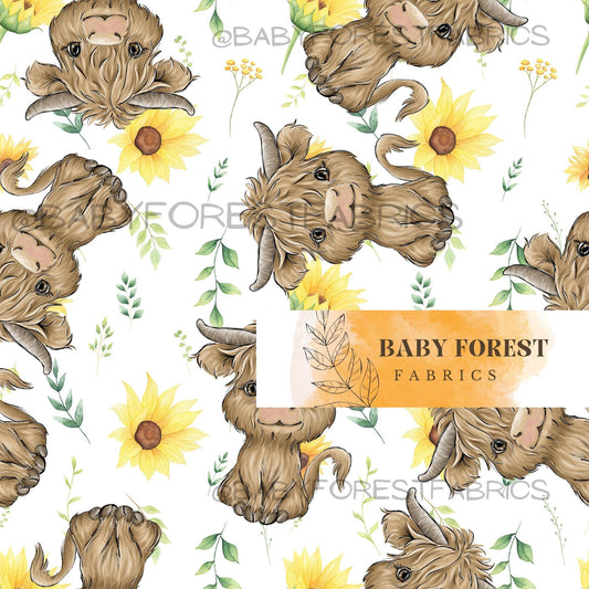 Summer cow sunflower white