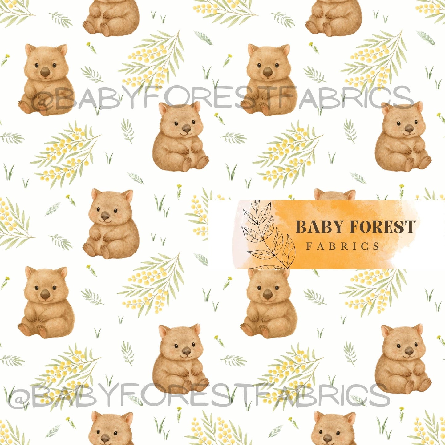 Baby wombat