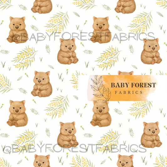 Baby wombat