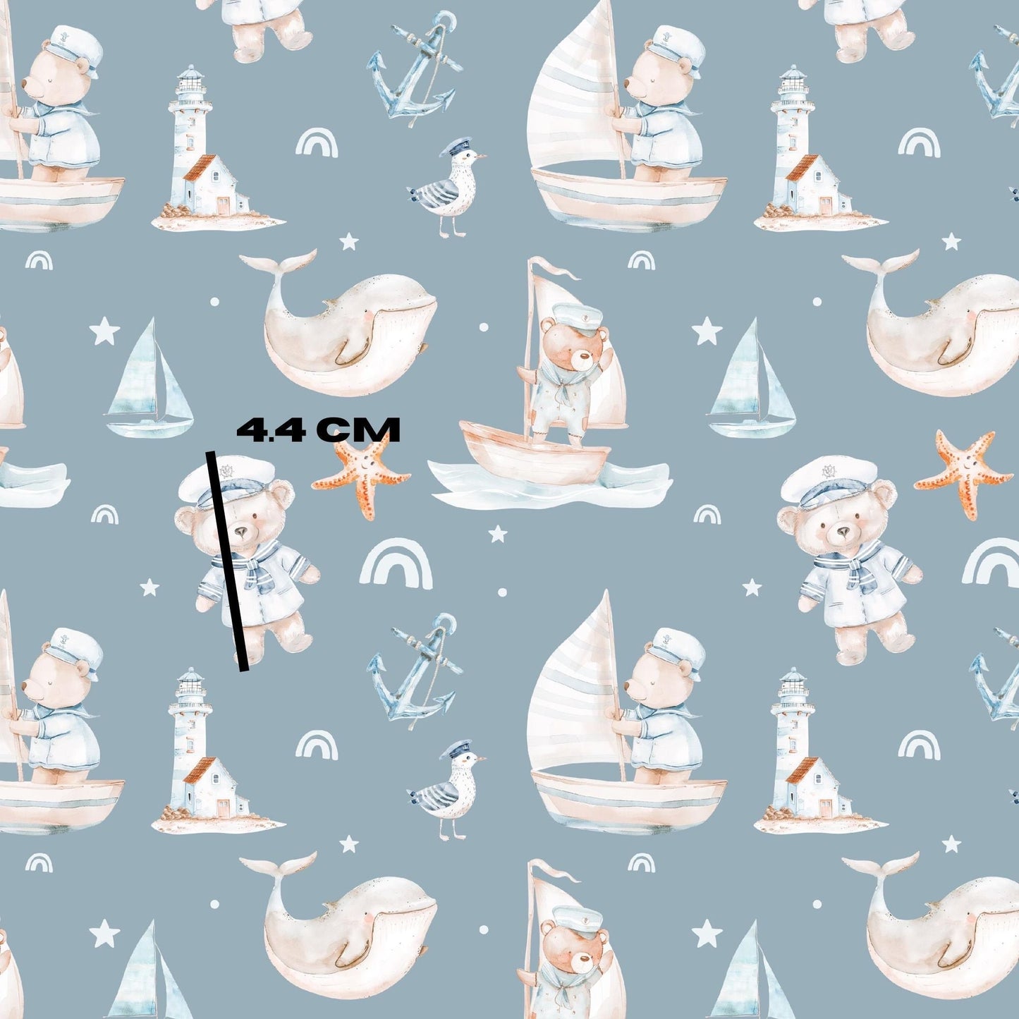 Sail bear Navy