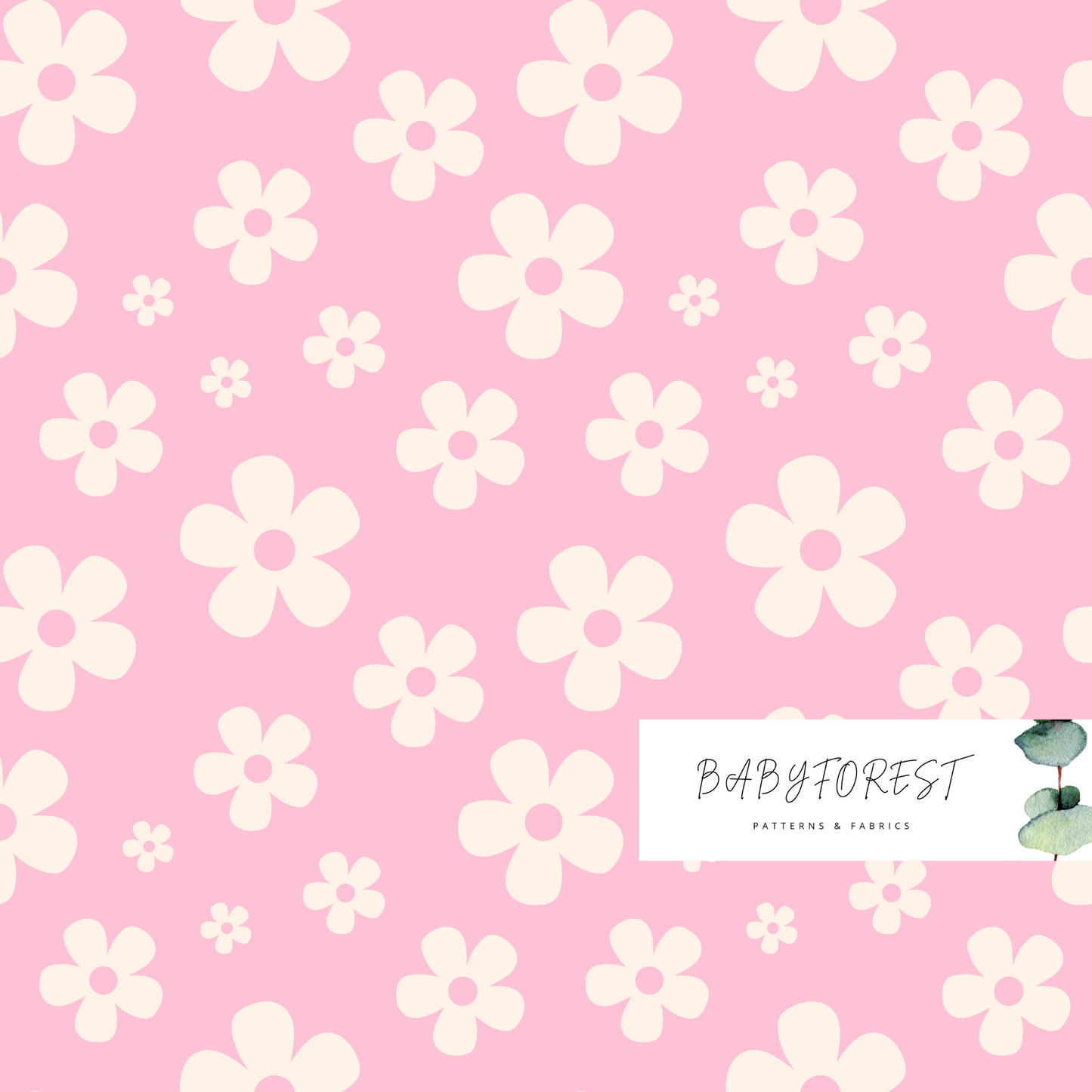Pink daisy