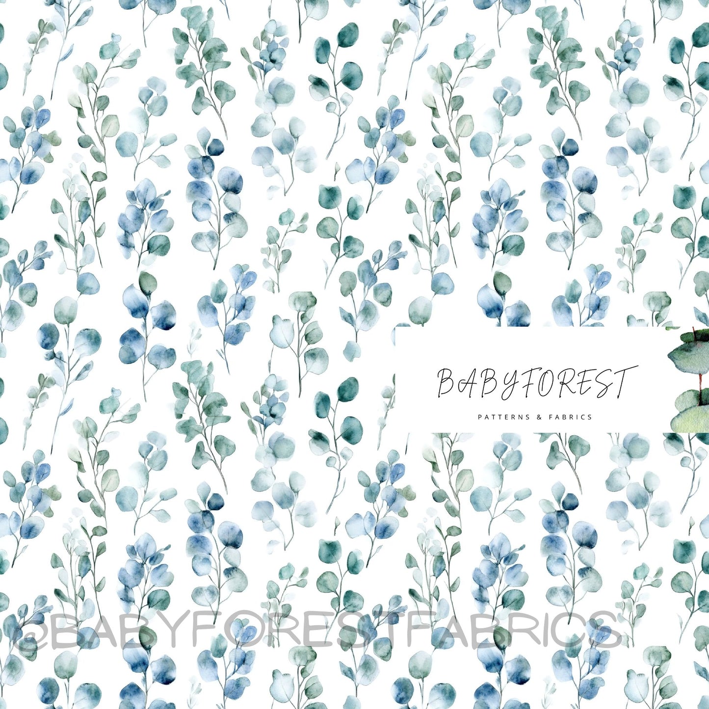 Watercolor Eucalyptus