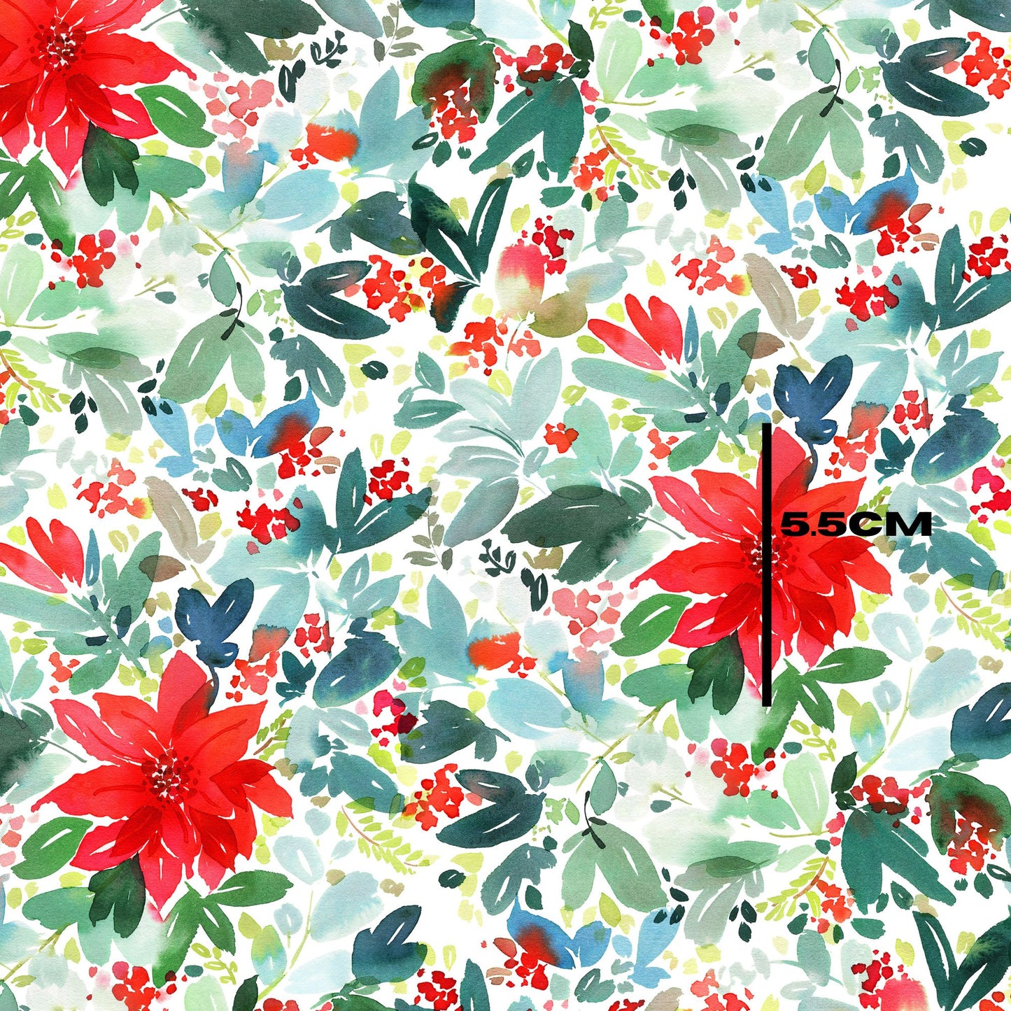 Poinsettia