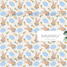 Load image into Gallery viewer, Boy bunny
