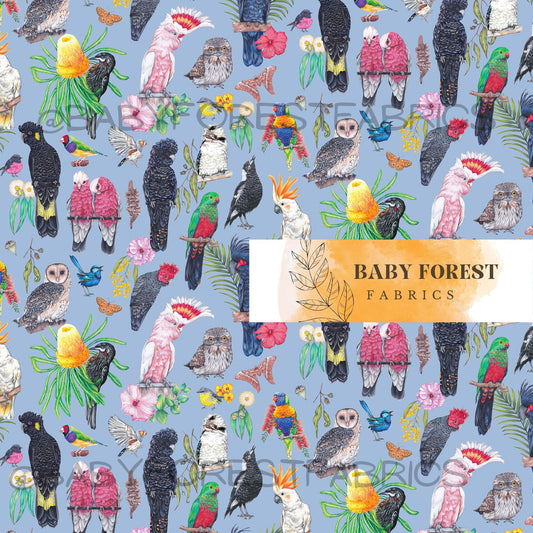 Native explorer birds blue