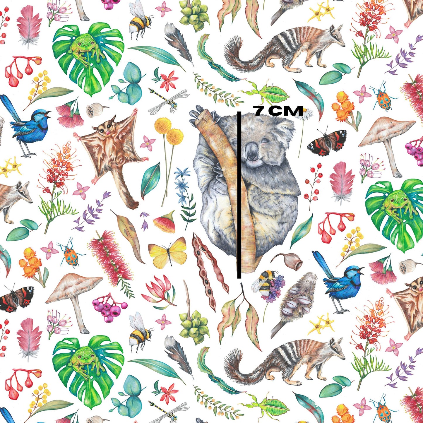 Koala Wildlife white