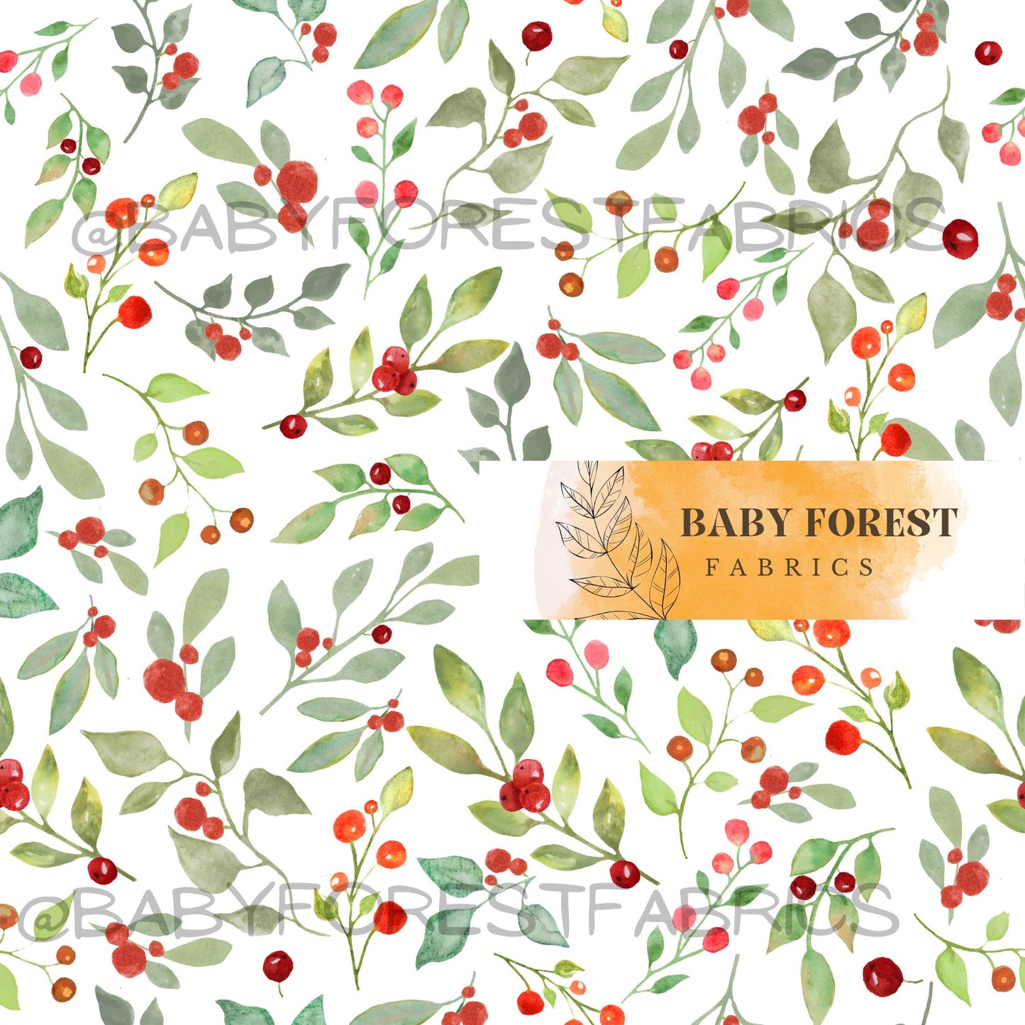 Christmas Berry