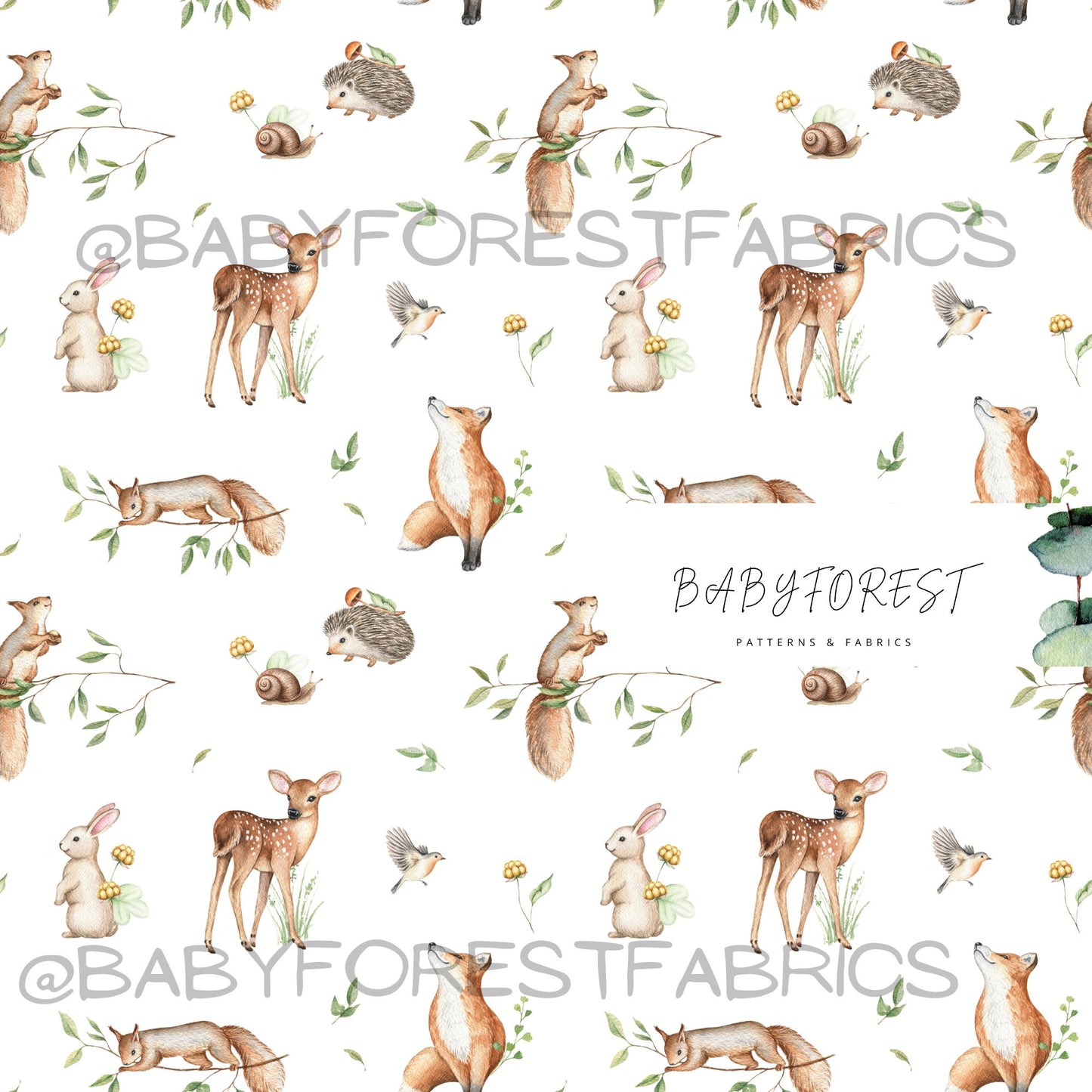 Sweet Woodland