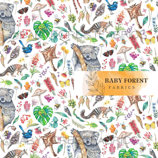 Koala Wildlife white