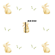 Load image into Gallery viewer, Minnie Bunny
