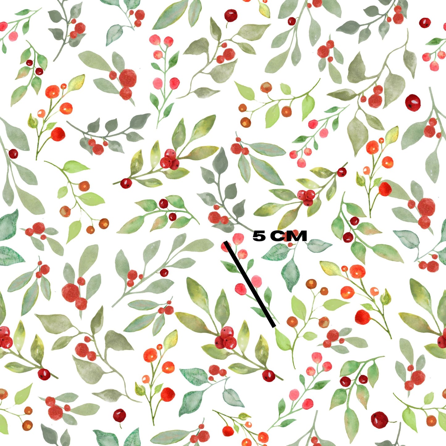 Christmas Berry