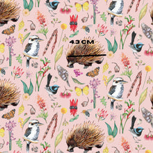 Load image into Gallery viewer, Echidna - Pink
