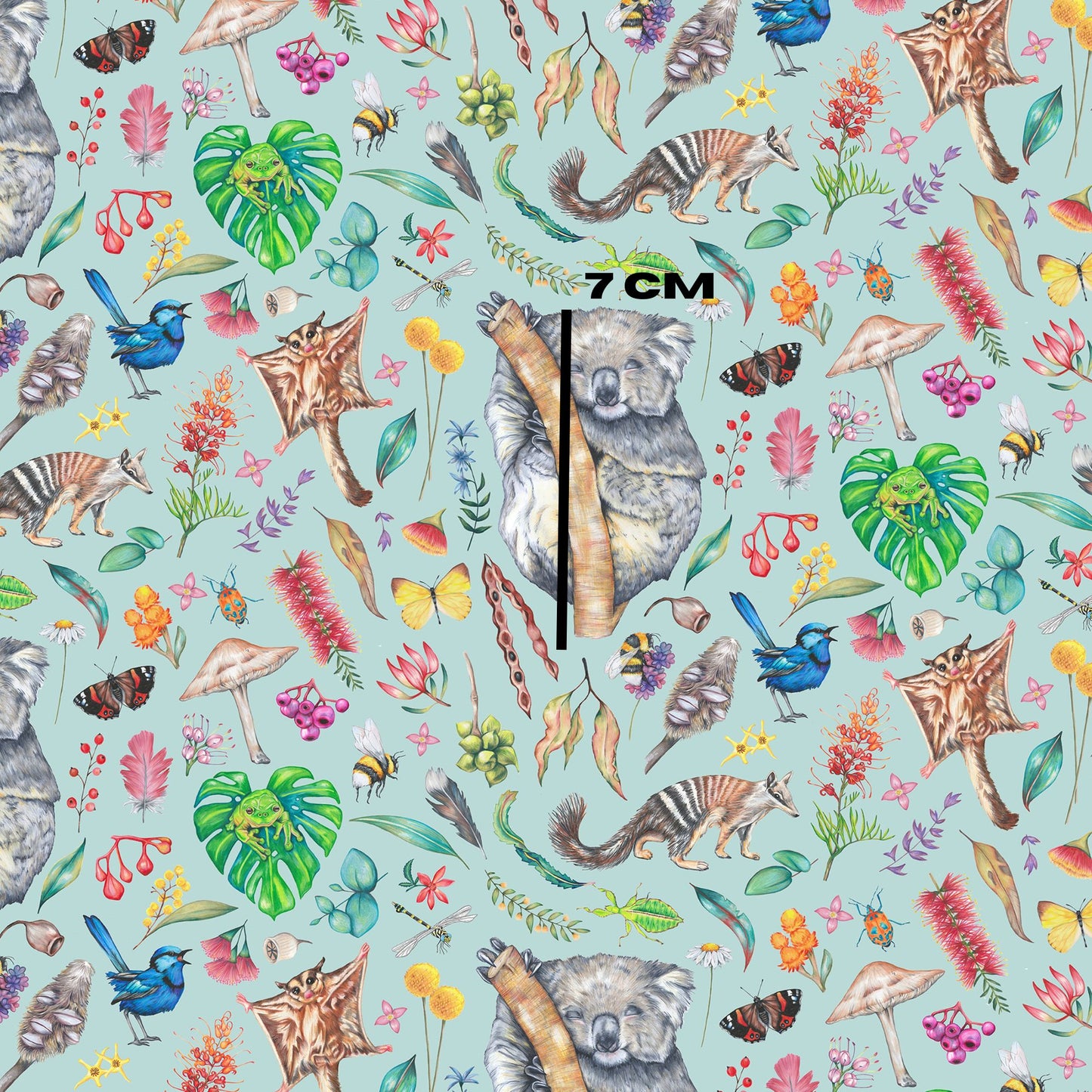 Koala Wildlife Duckegg