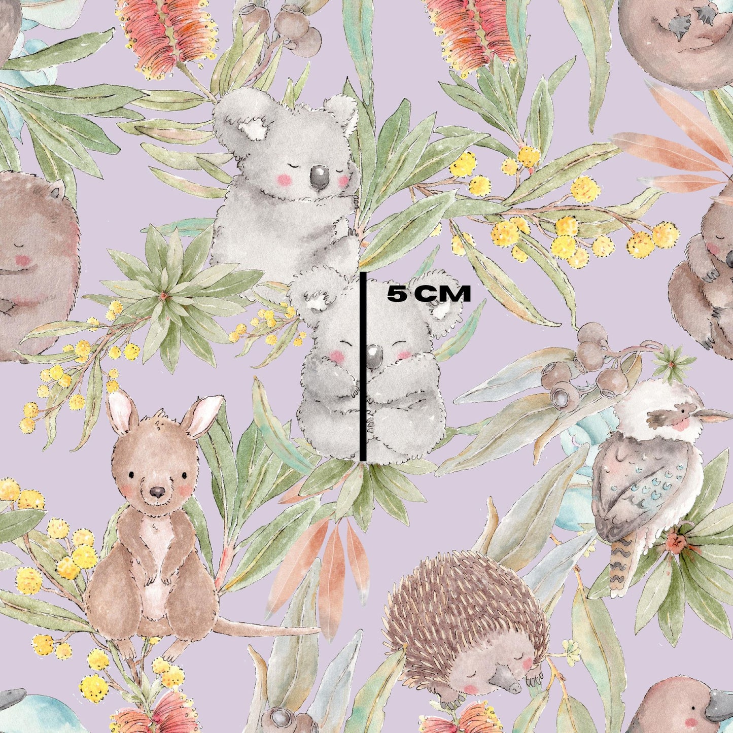 Sleepy Koala Liliac