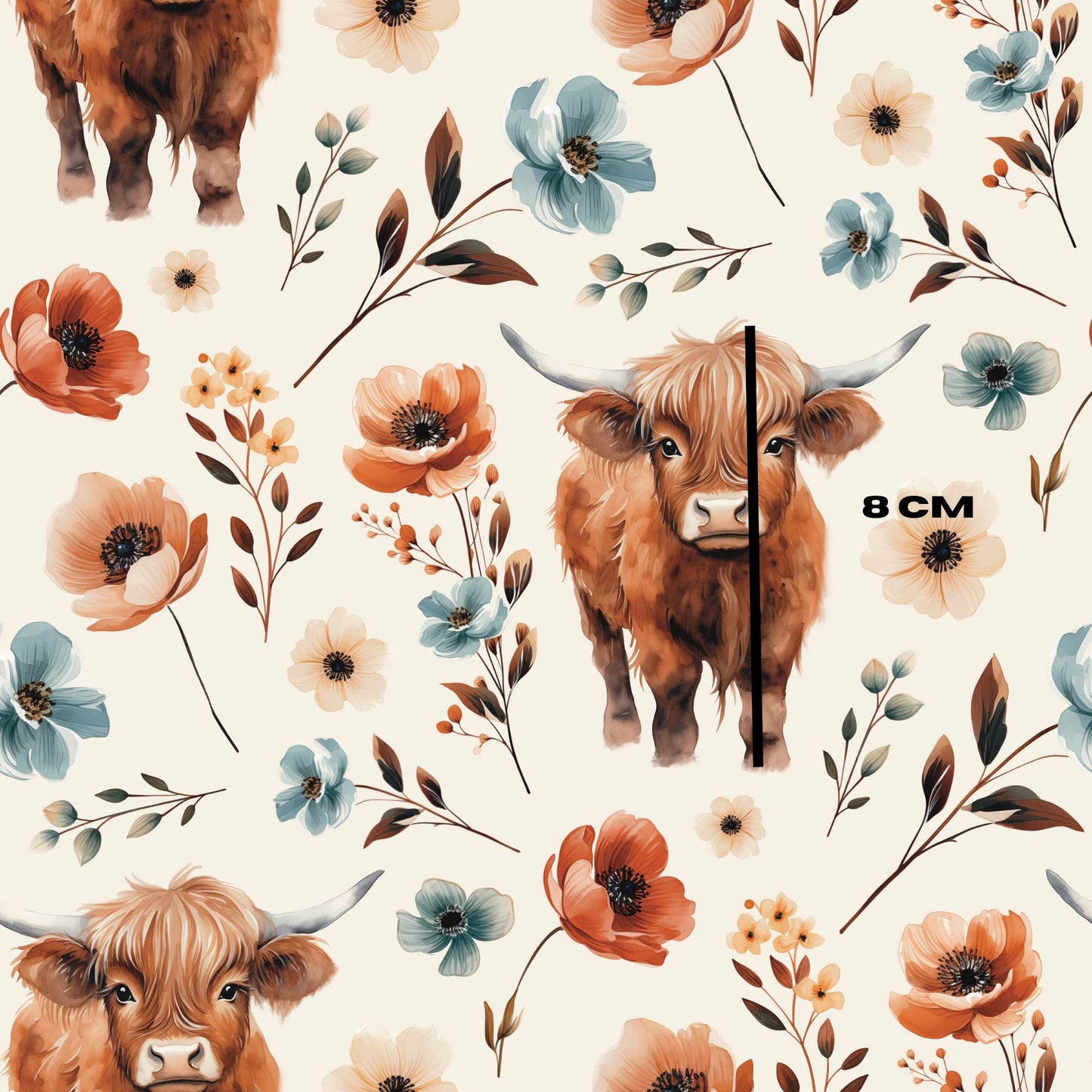 Highland Cow