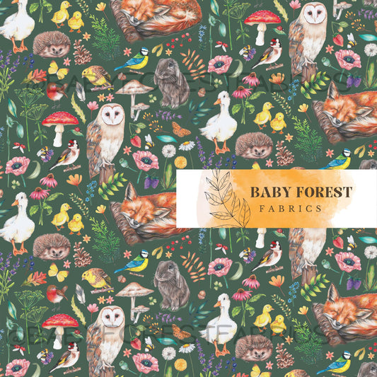 Woodland Meadow-Forest