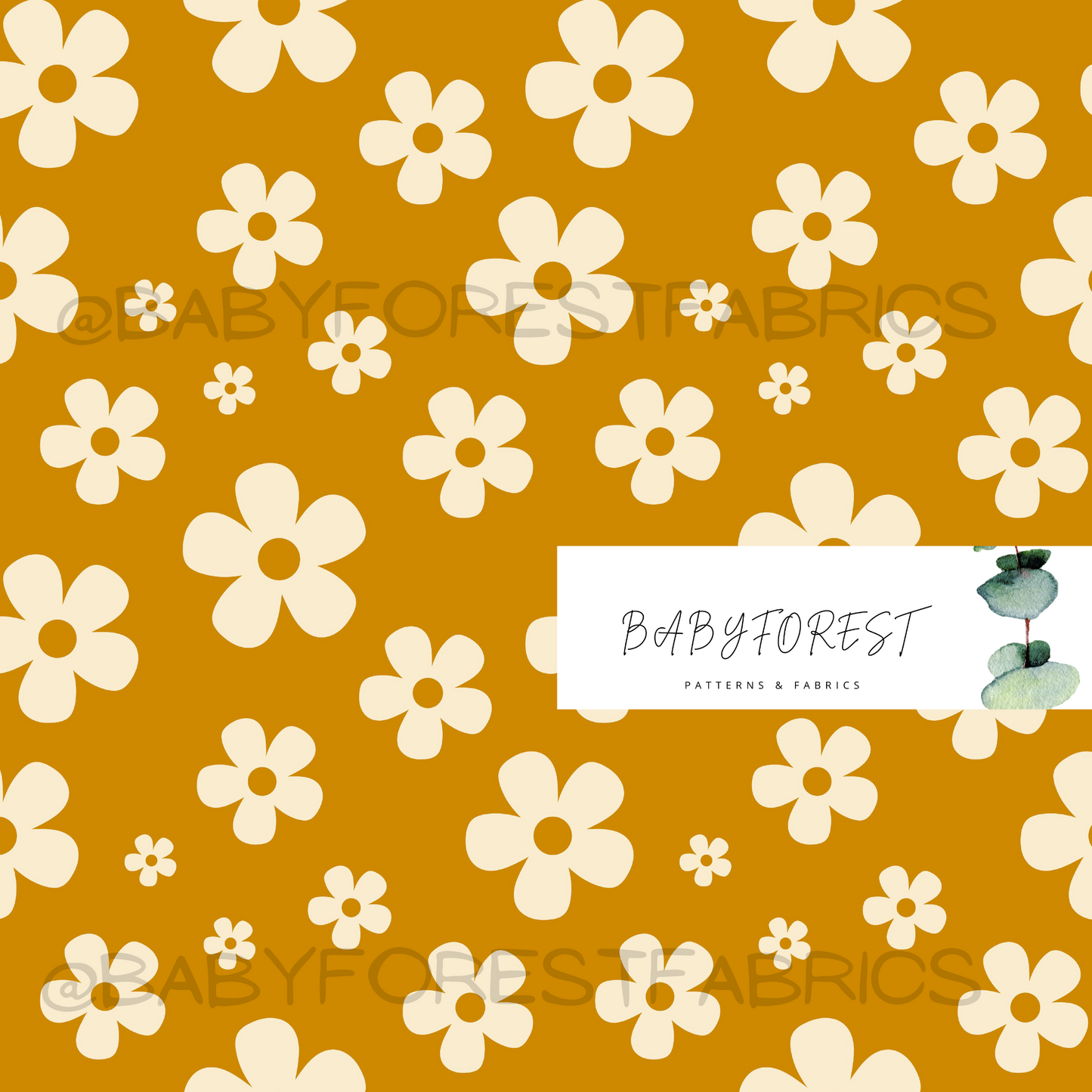 Ochre Daisy