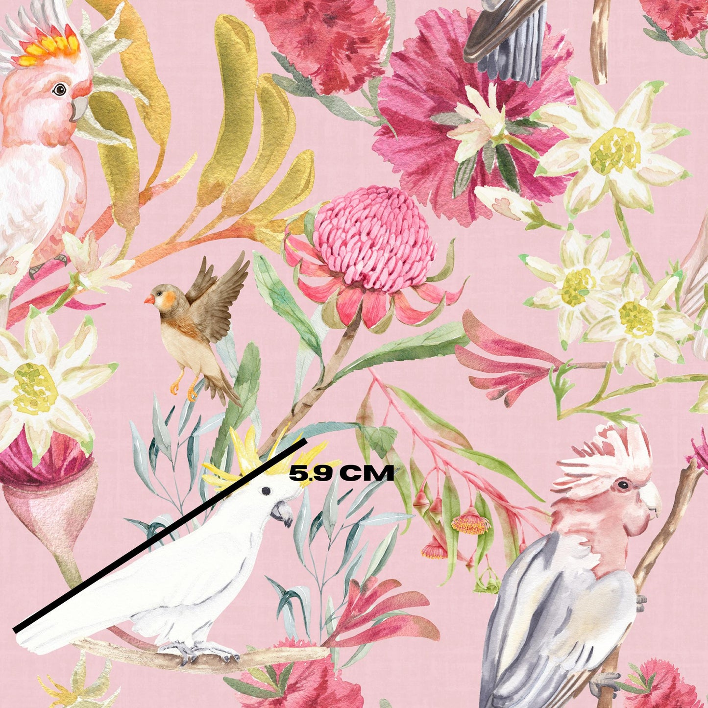 Pink garden birds