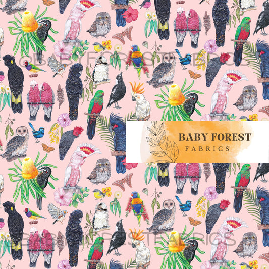 Native explorer birds Pink