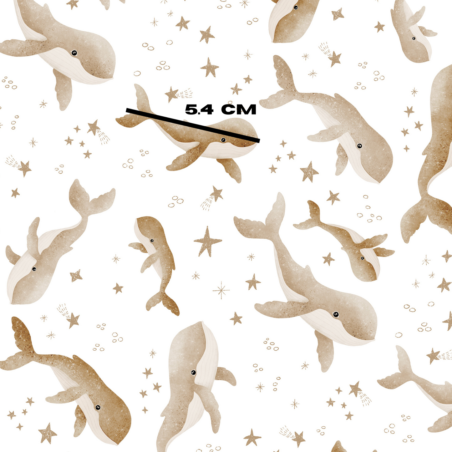 Whale stars