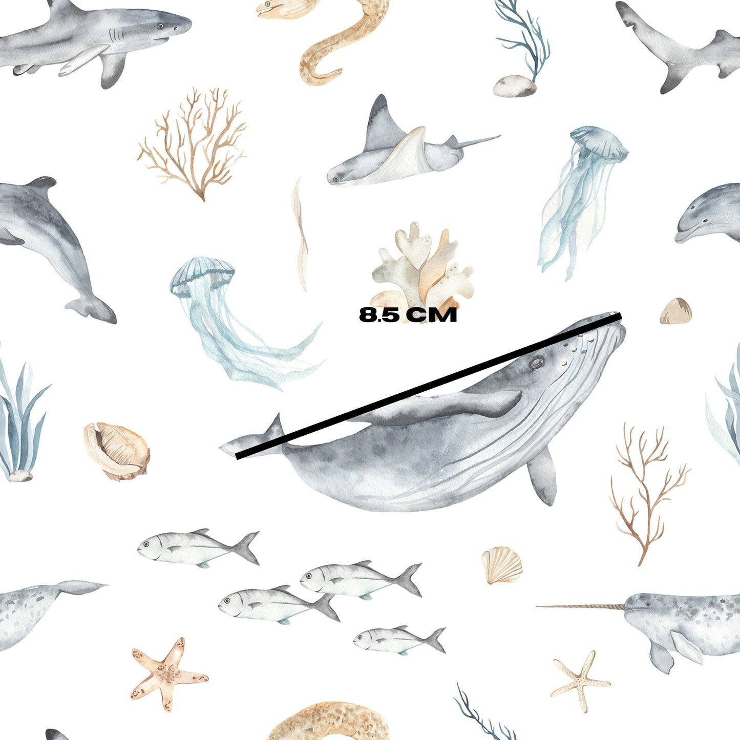 Whale n Friends