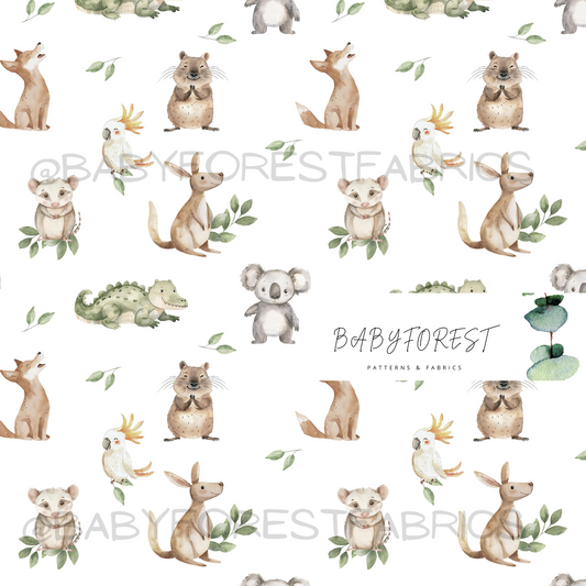 Bush Babies White