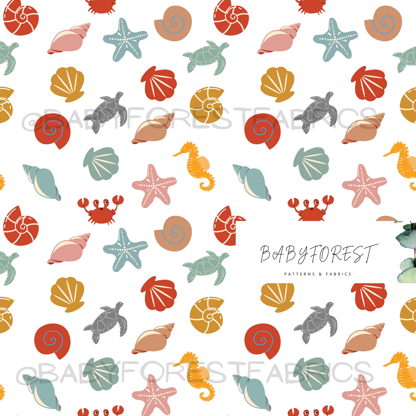 Fun Shells