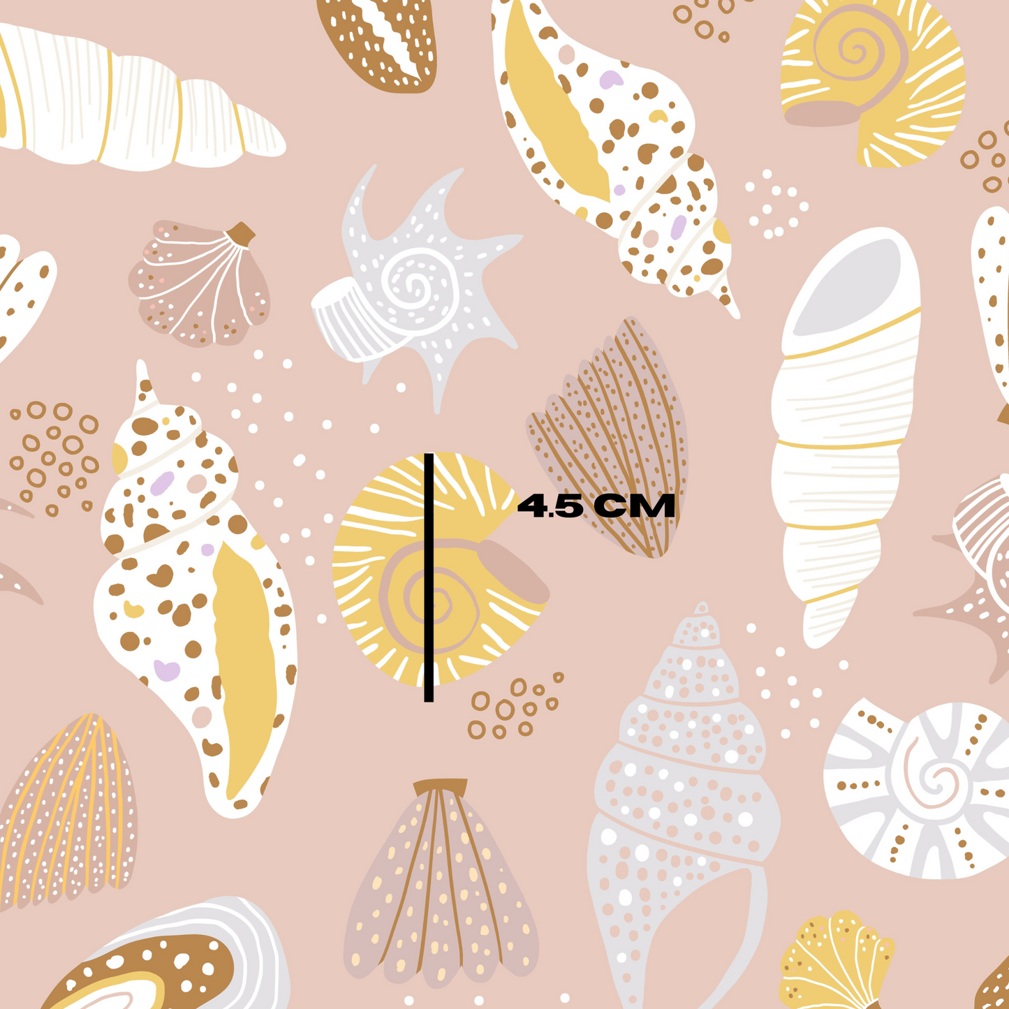 Summer Shells