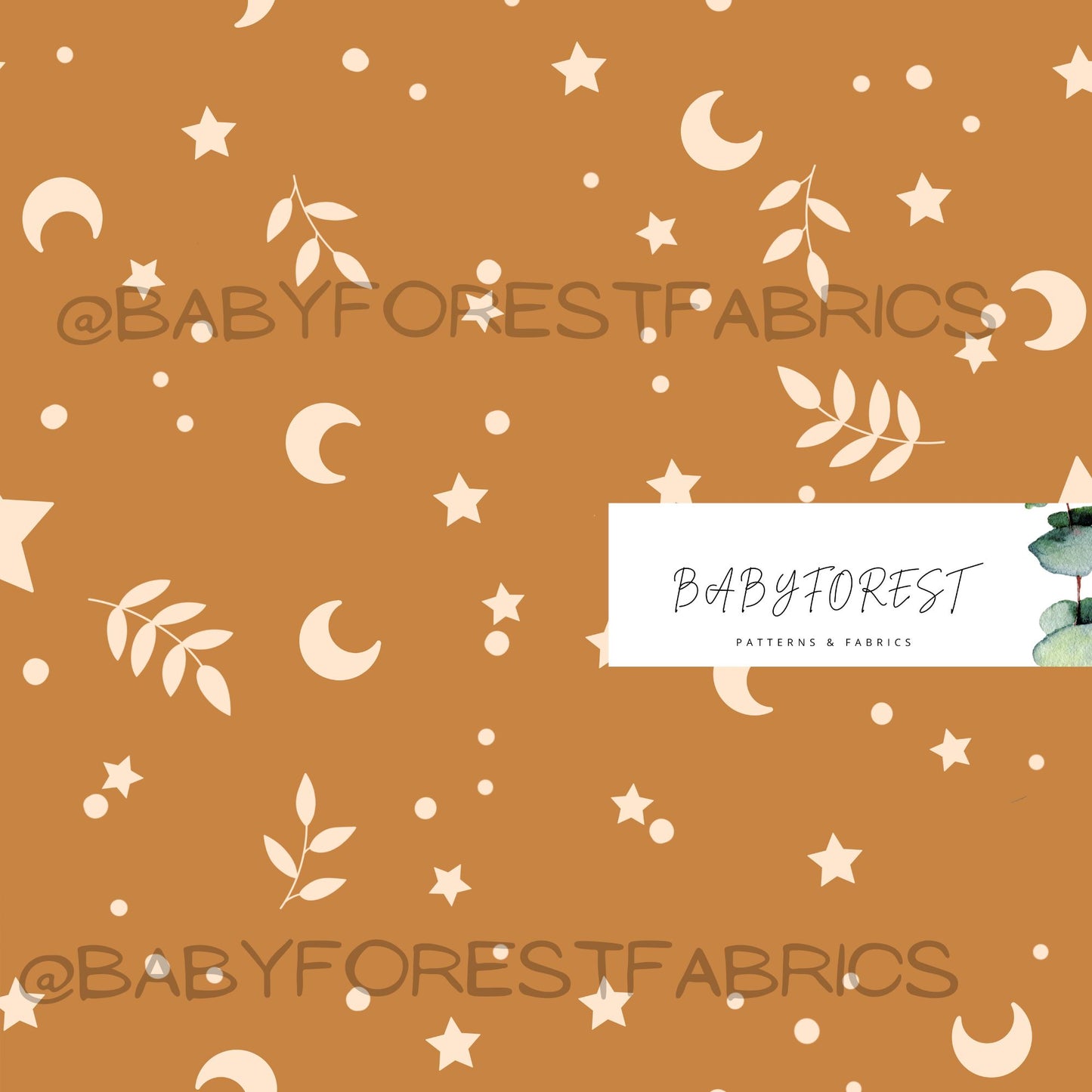 Caramel stars and moon