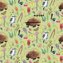Load image into Gallery viewer, Echidna-Green
