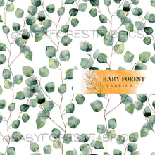 Load image into Gallery viewer, Eucalyptus round leaves
