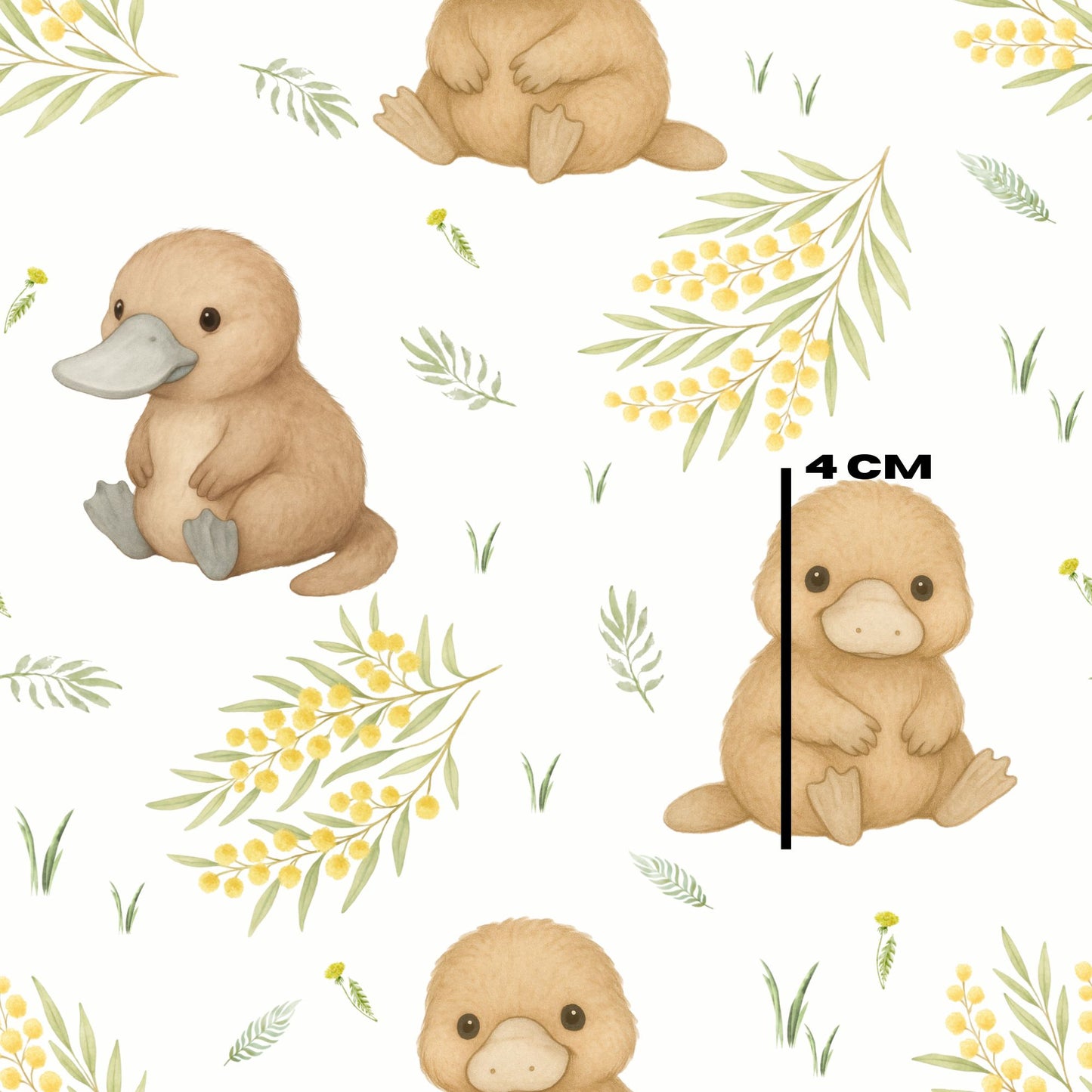 Baby Platypus